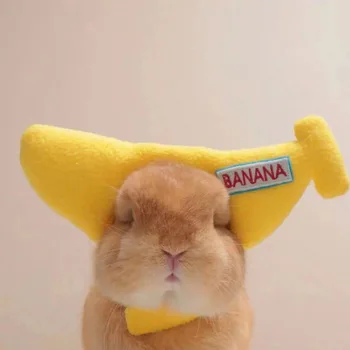 Забавная шляпа с бананом для домашних животных, кошка, кролик, щенок, плюшевый мишка, реквизит, шляпа для собаки, шляпа для кролика